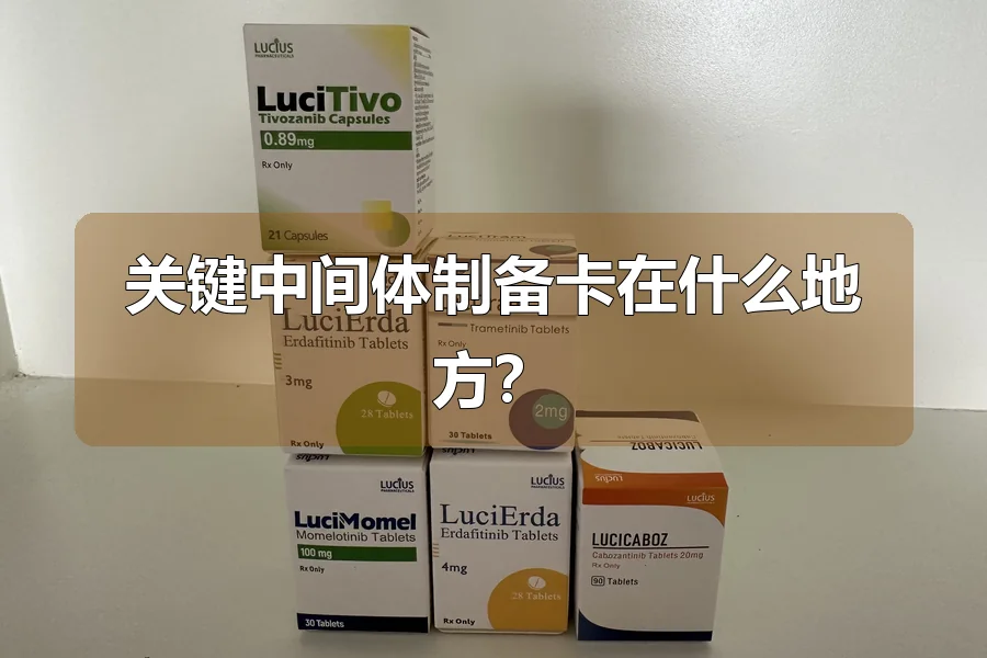 关键中间体制备卡在什么地方？